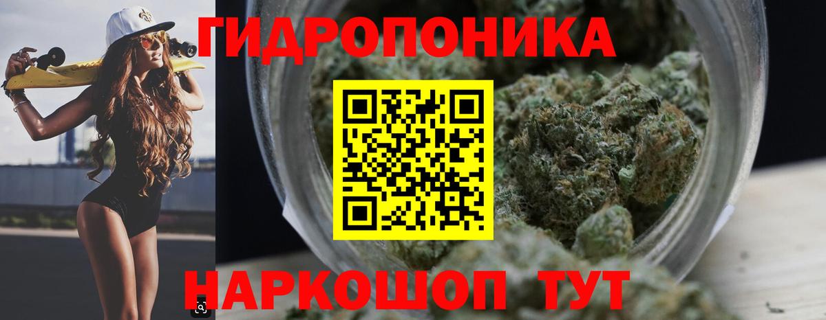 Бошки Шишки MAZAR Ижевск